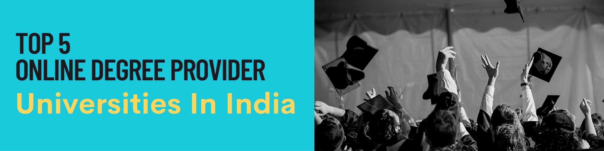 Top 5 Indian universities that provide online degree courses