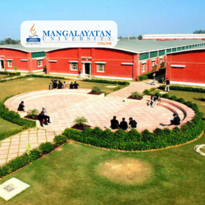 Bachelor of Business Administration (Online BBA)
